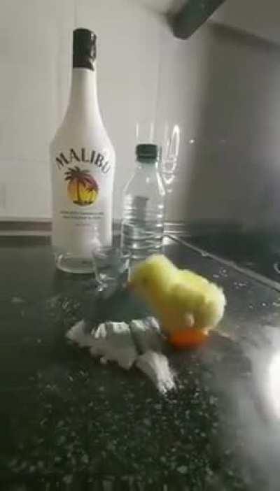 vou comprar um de presente pra vc muquinha