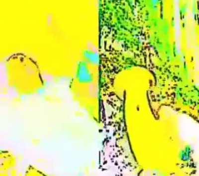 NNN is over, you won't be needing this.