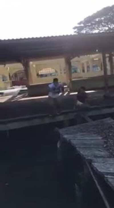 WCGW Jumping on an old wooden dock