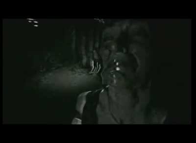 Cursed_poughkeepsie tapes