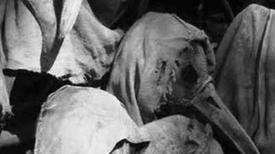 very strange and unnerving video, at a certain part in it you can hear a faint voice, but i can’t tell what it says