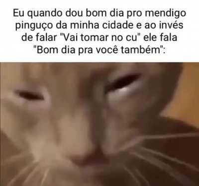 eu_nvr