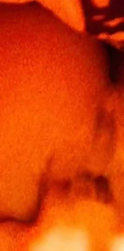 there are a young man or an old man around here?