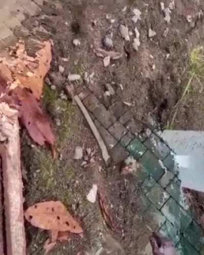 thanks, I hate whatever the fuck this is