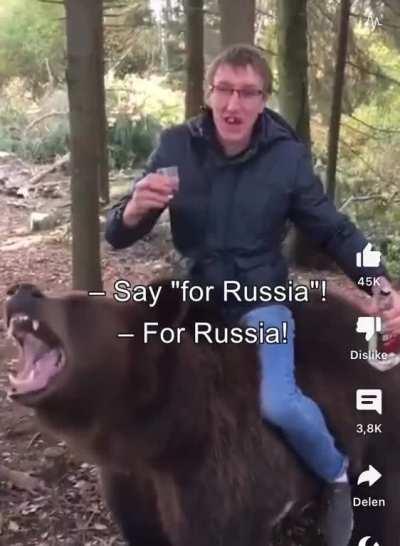 Does this even need a title