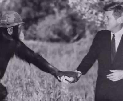 LibCenter becomes a warhero