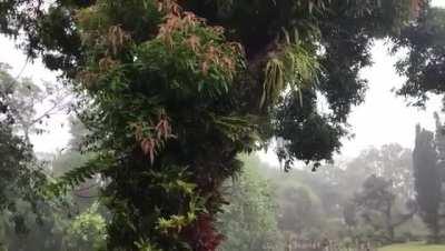 Top 3 favorite places to enjoy the rain.