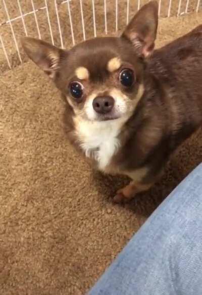 what in tarnation is this mom