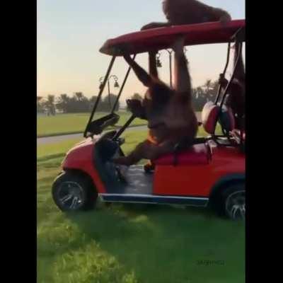 Looks like these bros got together for a party!)