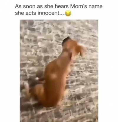 One “nip” away from being handicap her entire life…