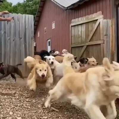 So many good boys and girls!