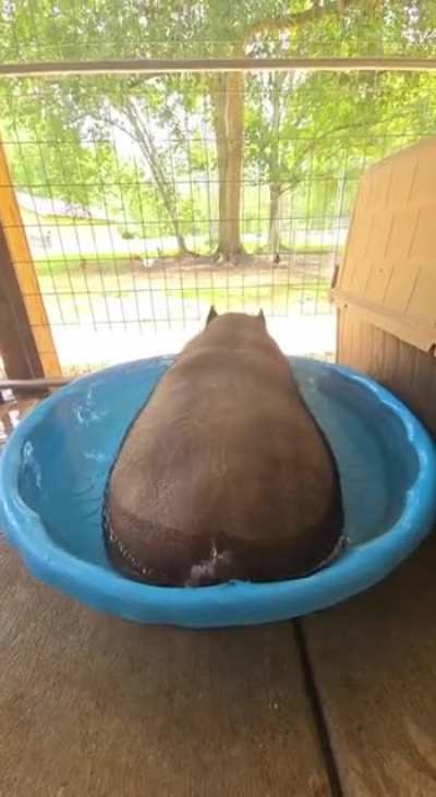 Wunkus is very uncultured 