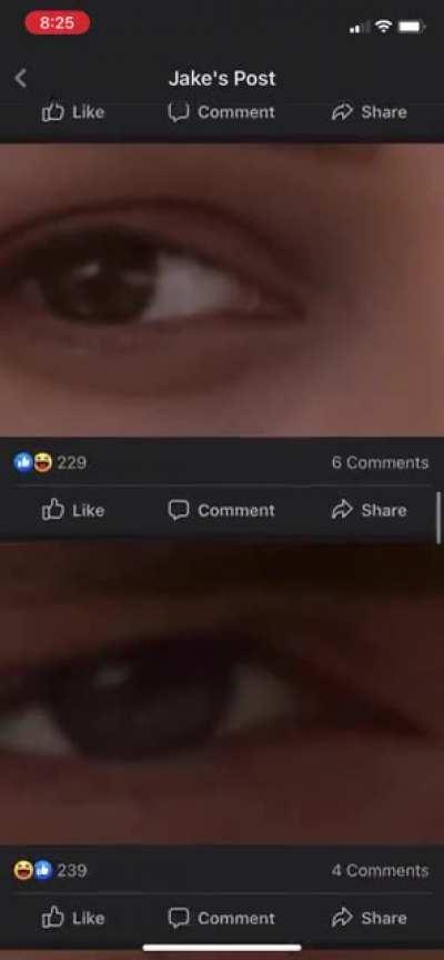 Funniest shit I ever saw on Facebook