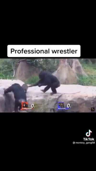 MONKE WIN THE BATTLE