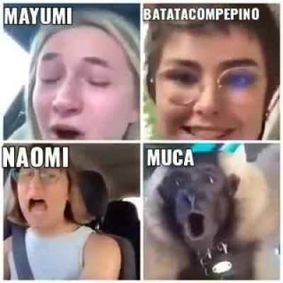 Resumindo oq aconteceria se todos eles entrasem na msm call