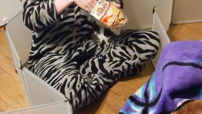 Honey Glazed Oreo in The Glaze Maze