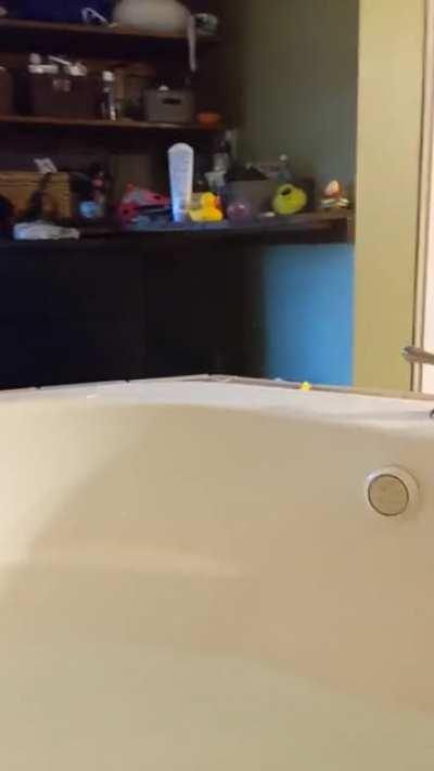 Chonker made a heckin big mistake