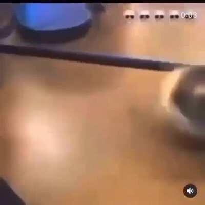 Da Turtle Gettin Lit