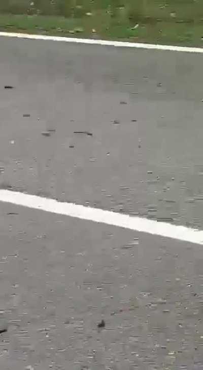 Aftermath of head-on collision between a van and a truck. Van driver dead. Warning: graphic