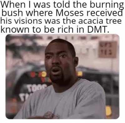 That makes waaaay more sense than the Bible's story.