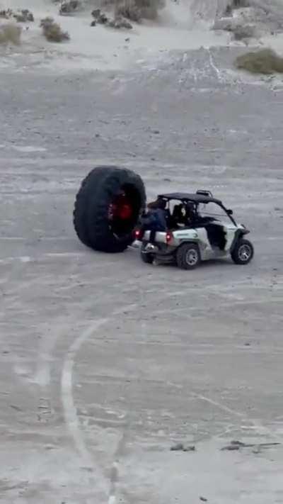 When a group of men find something to play with...