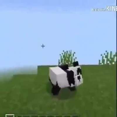 AqueleZy - Video #8406