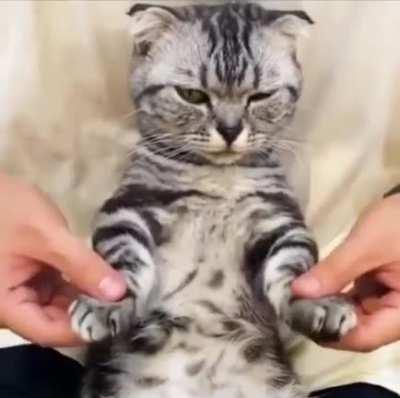 B-Cat just poppin' & lockin' babeeeee!!