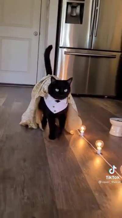 This sub in a nutshell