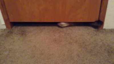 No door can stop him