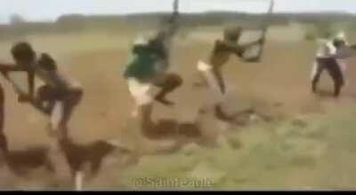 Me and the boiz farming for mono sphere