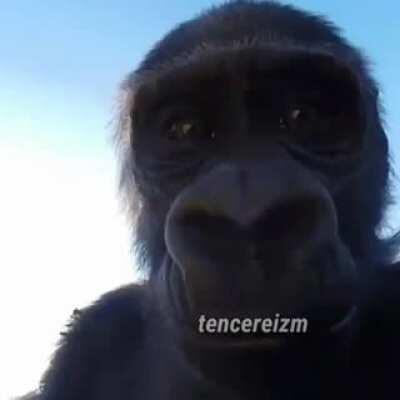 🆎 nedion (1snlik götlü zenci var)