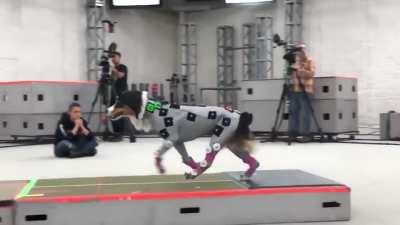 [Video] Doggy Motion Capture Shoot [The Last of Us Part II]