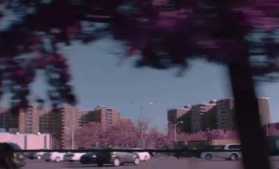 Pierre posts snippet for “Pop Out”