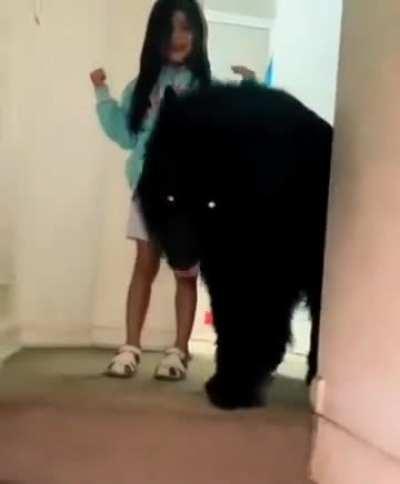 Greetings to everyone. I have been studying summons since my master ordered me to. The footage contains my first successful(or not) summon. Any idea what did i summon?