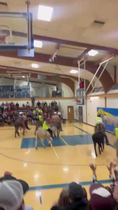 It’s donkey basketball!