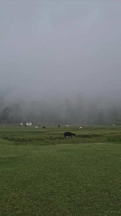 15°C here 😍 when the whole India is burning🥵