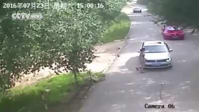 HMFT after arguing in front of hungry tiger