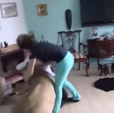 WCGW if bring a lion into my house