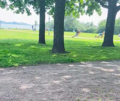 Influencer crawling at the park