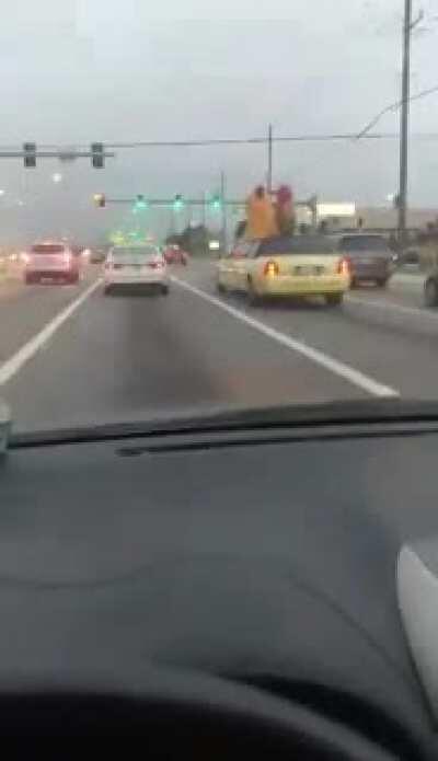 The shit you see in Florida. I was also super sick when I filmed this, and this caught me off guard.