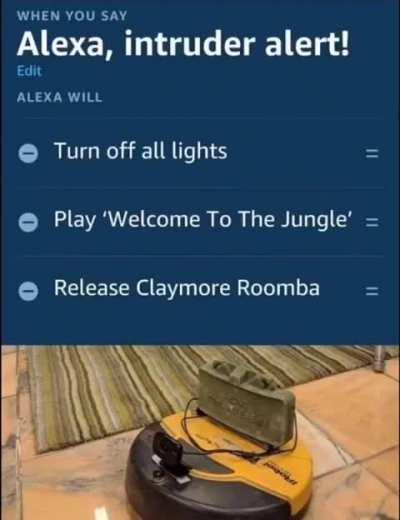 Home defence prototype 