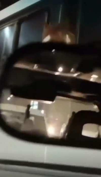 Nem mesmo pro cavalo