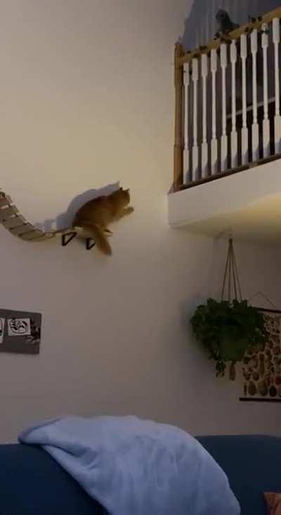 If I Just Reach A Little More