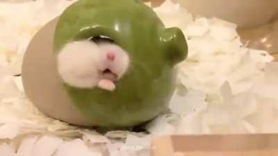 Chubby cheeks go *thwomp*