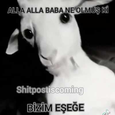 NE OLMUŞ Kİ EŞŞEĞE