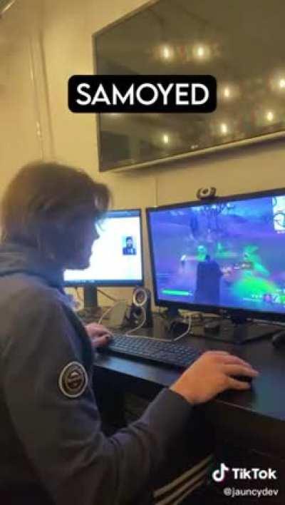 How various dog breeds respond to robbers