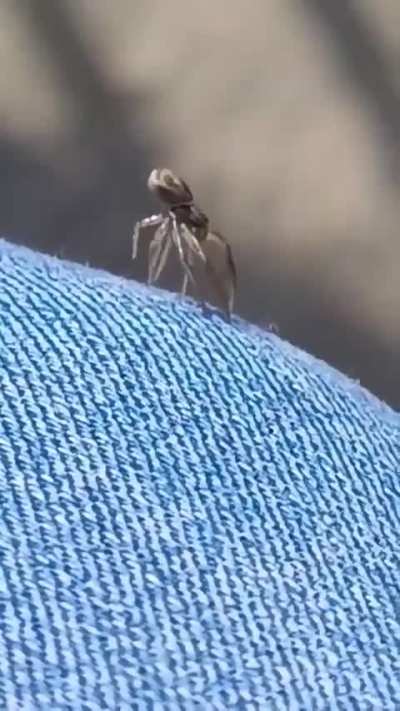 Homemade granny summer