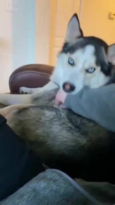 Э! Чеши давай!