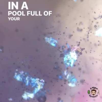 I recorded a video of MgSO4 dissolving. 200x with digital zoom. @loganupclose