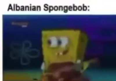 Spongeboob is a proud Albanian 🇦🇱🦅🐓